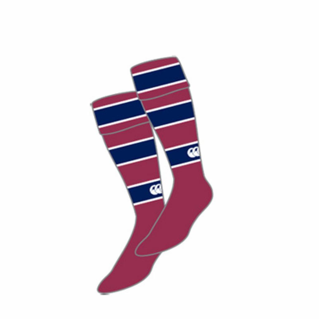 Compulsory SDC Games Socks